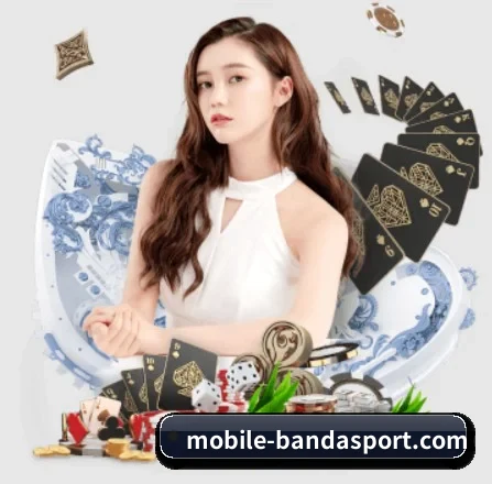 半岛综合 APP 界面